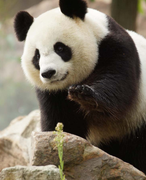 Le Val de Loire en 4 jours