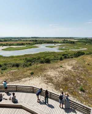 Marquenterre et Baie de Somme