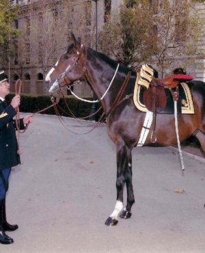 Paris Garde Républicaine et Père Lachaise