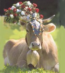 Kermesse de la Bière à Munich et Transhumance