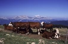 Haute Savoie Itinéraire 2