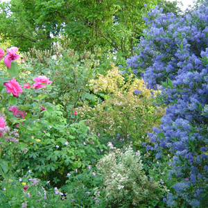 Les jardins de Valloires et de Chériennes